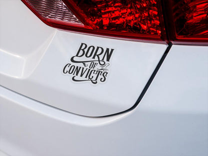 BOC 3 Sticker / 1 Fridge Magnet  - FREE SHIPPING