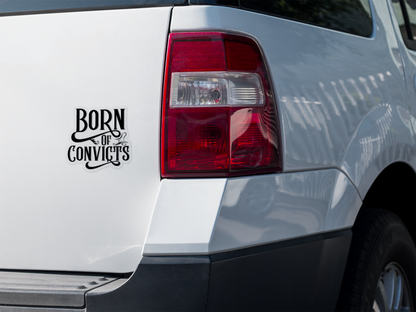 BOC x 3 sticker pack - FREE SHIPPING